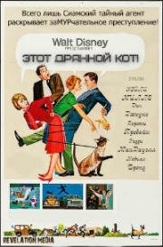 Эта дикая кошка (Этот чёртов кот!, Этот дрянной кот!) (1965)