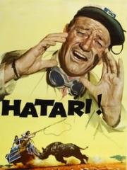 Хатари! (1962)