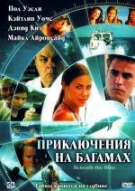 Приключения на Багамах (2010)