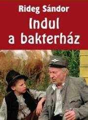 Шлагбаум поднят, станция отправляется (1980)