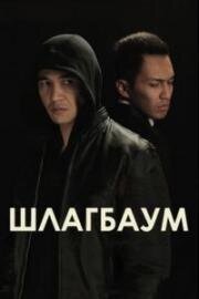 Шлагбаум (2015)