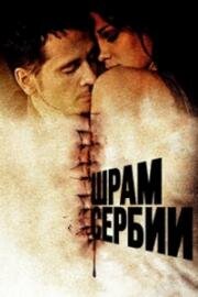 Шрамы Сербии (2009)