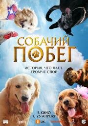 Собачий побег