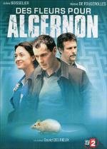 Цветы для Алджернона (2006)