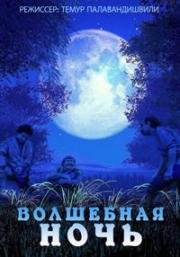 Волшебная ночь