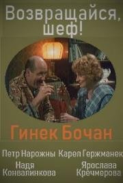 Возвращайся, шеф!