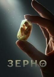 Зерно (2016)