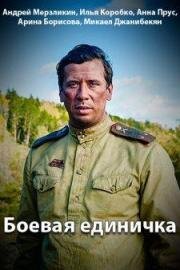 Боевая единичка (2015)