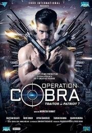 Операция «Кобра» (2019)